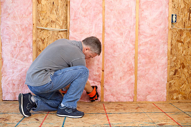 Best Specialized Insulation Services in Dade City, FL