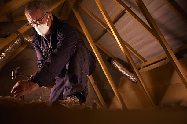 Best Energy Efficiency Insulation in Dade City, FL