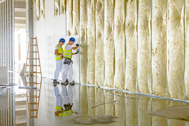 Types of Insulation We Offer in Dade City, FL